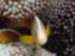 PC202155.JPG