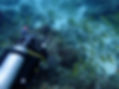 PC202075.JPG