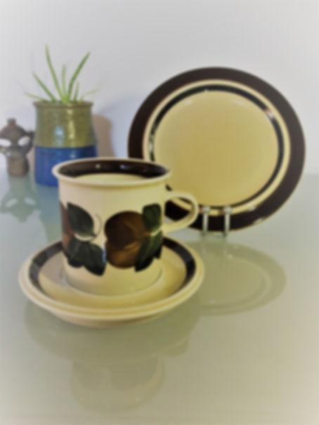Arabia Ruija Tea Cup + Saucer + Dessert Plate by Raija Uosikkinen