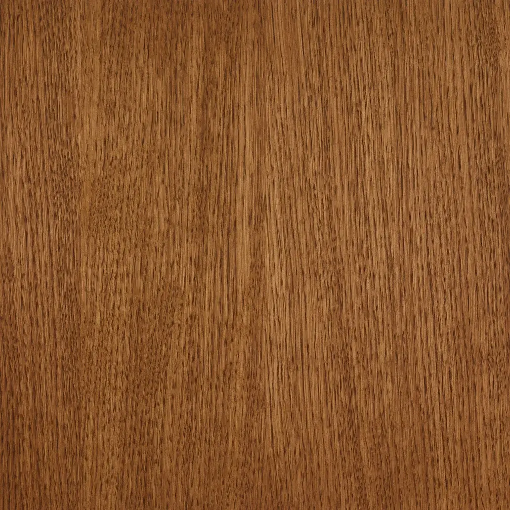 Echantillon Hazelnut