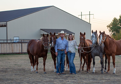 horses in front of alley and arena.jpg