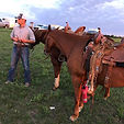 glen holding horses.jpg