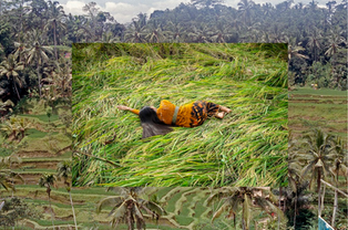 Captura de Tela 2021-11-11 às 21.50.59.png