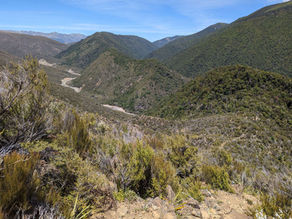 Day 13: Hunters Hut to Red Hills Hut.