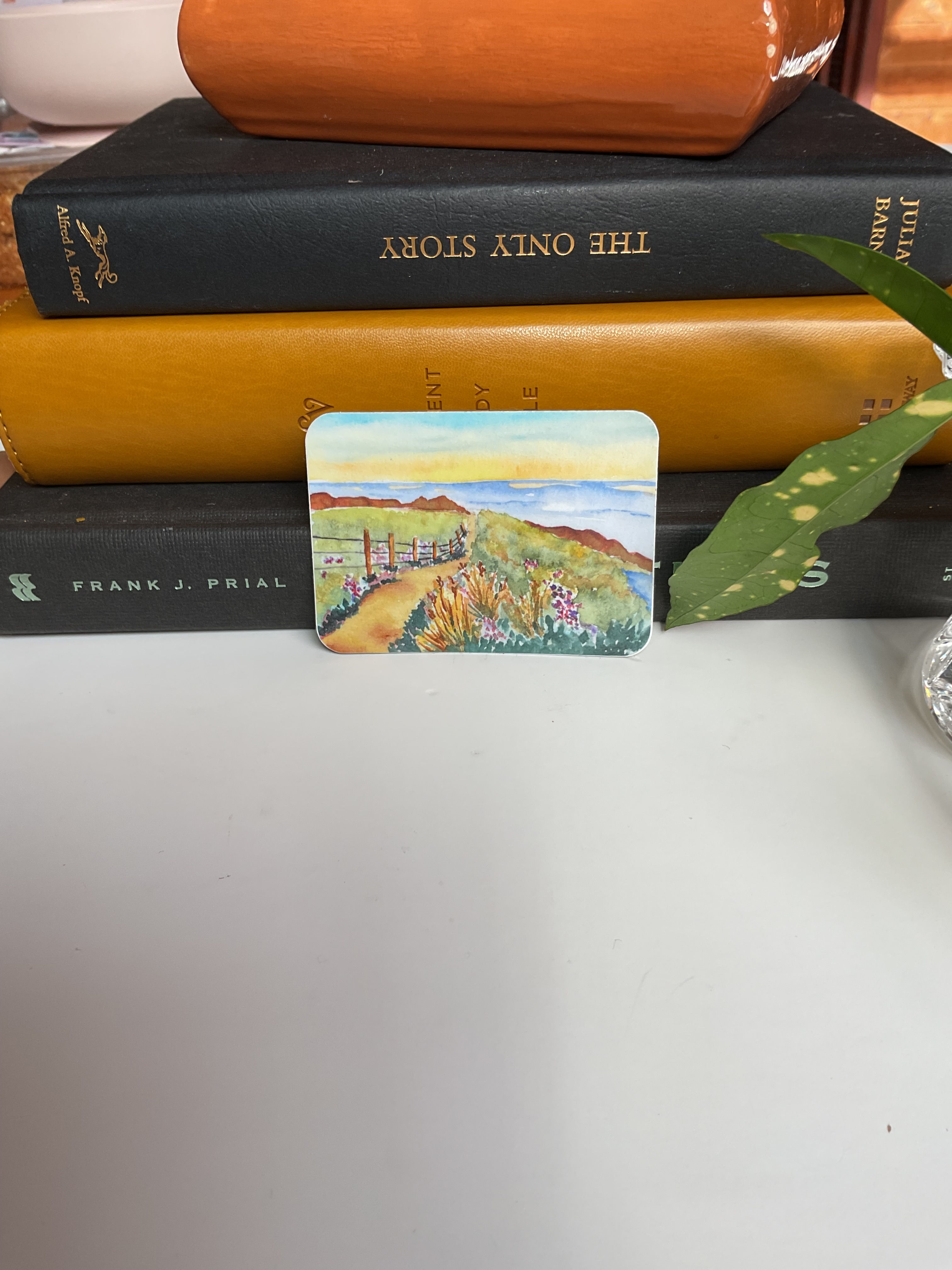 Road to the Sea Rectangle Vinyl Sticker