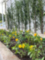 Imagem do WhatsApp de 2024-08-30 à(s) 17.13.05_22e1318e.jpg