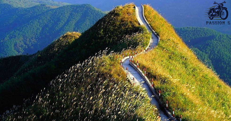 Sống lưng khủng long