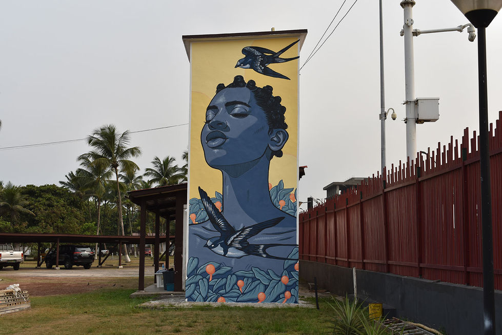lidia-cao-cemfac-guinea