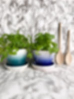 spray planters