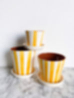 planters in tangerine