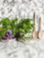 chroma max planters