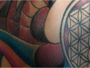 Geometry and Human Behaviour 