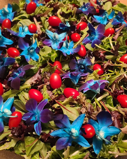 image_50671105.JPG