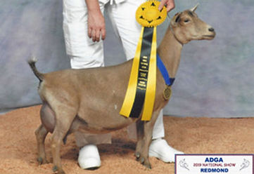 CASTLE ROCK TAHITIAN SUNSET-SISTER TO SUTTER'S GOLD.jpg