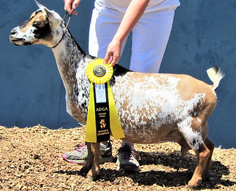 IMG_2698 (2)_edited.jpg