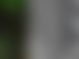 Autumnal day in the garden