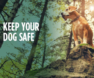 Book for a free ticks and fleas check