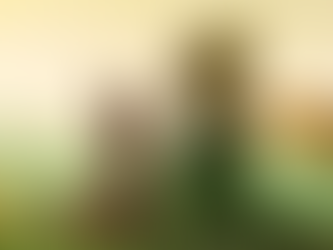 Reseña: "El Principito" escrita por Antoine De Saint-Exupéry🦊👦🏼