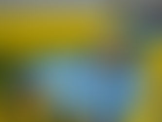 Voorjaarstransitie: De belangrijkste checks voor je auto na de winter