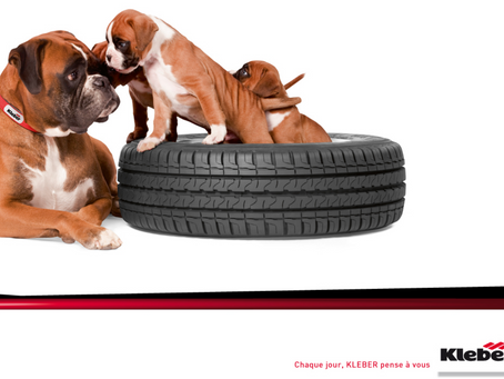 Quatre saisons, un pneu