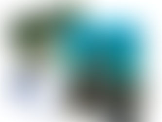 Stop aux dépôts sauvages de pneus