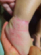 WhatsApp Image 2025-12-23 at 10.29_edited.jpg