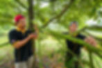 Sony_Dusoon_0070.jpg