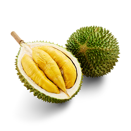 musang king.png
