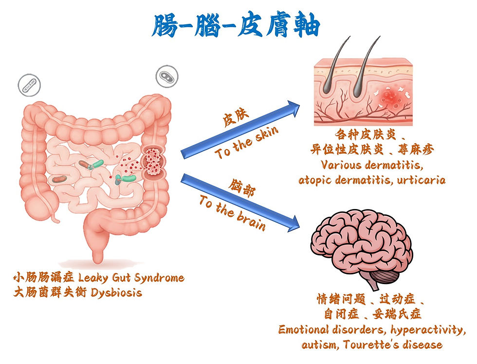 WhatsApp Image 2026-01-10 at 10.59.35 AM.jpeg