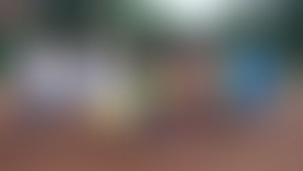 ÖTV Turnier: Finaltag