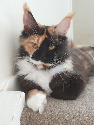 image_6483441 (2).JPG