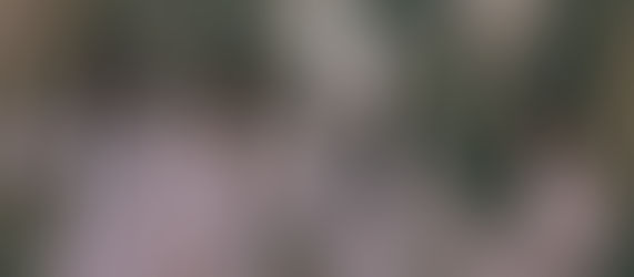 NEWJEANS: La dirección creativa y la identidad de marca en el KPOP ✷