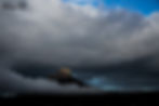 Lion's head 16