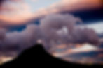 Lion's head 9