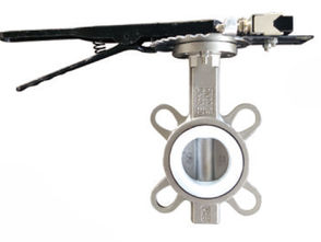 Rising stem cast steel gate valve with flanged ends, cover image