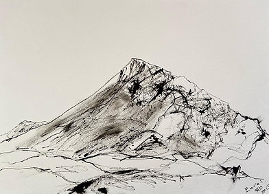 Eaval 2 - 42cmx30cm - ink drawing.jpeg
