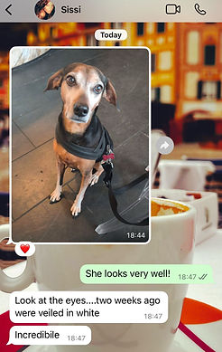 WhatsApp Image 2025-06-21 at 11.32.57 (1).jpeg