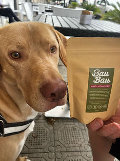 WhatsApp Image 2025-06-17 at 09.00.20.jpeg