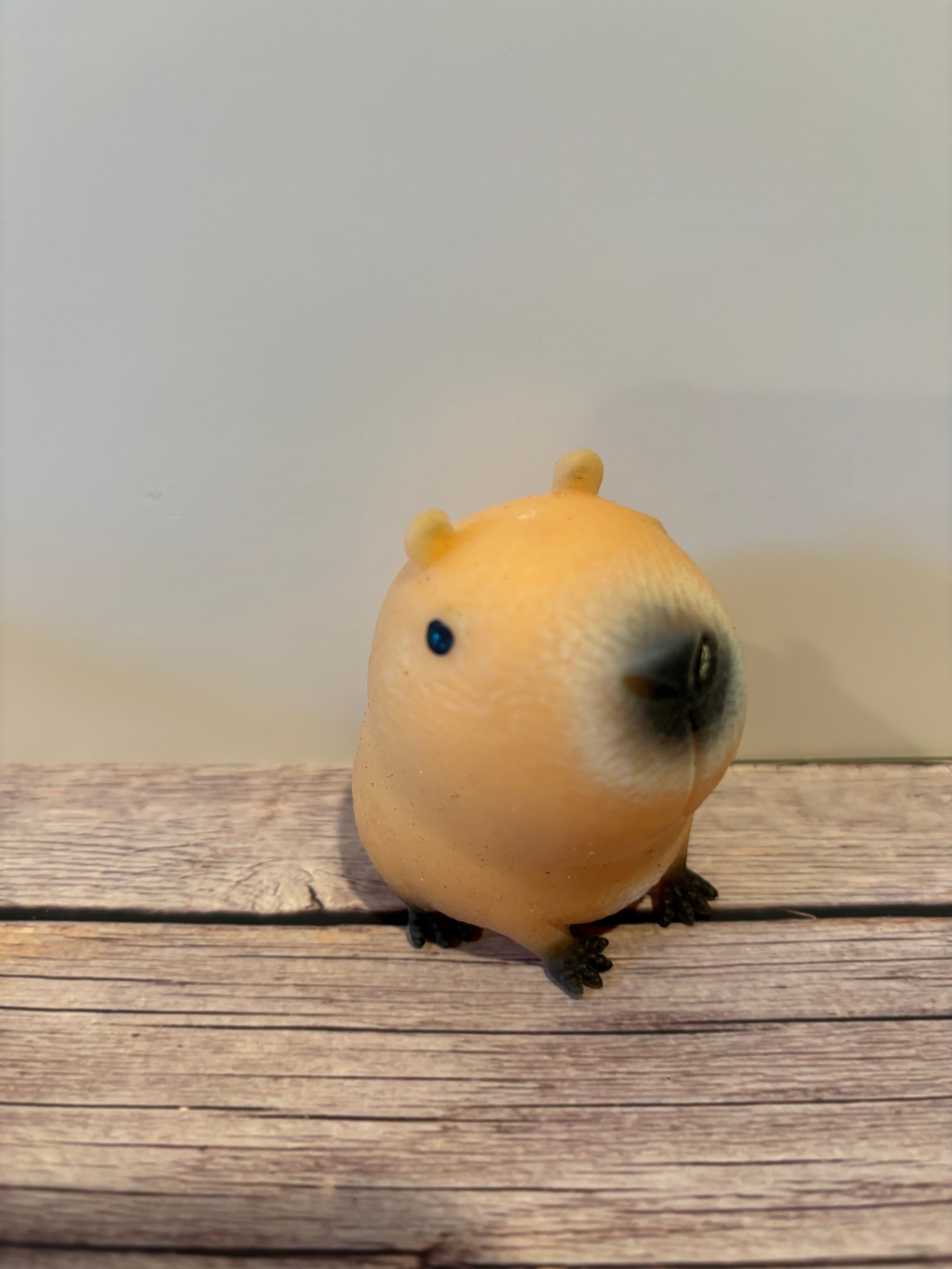 Capybara squishy 