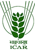 ICAR LOGO PNG.png