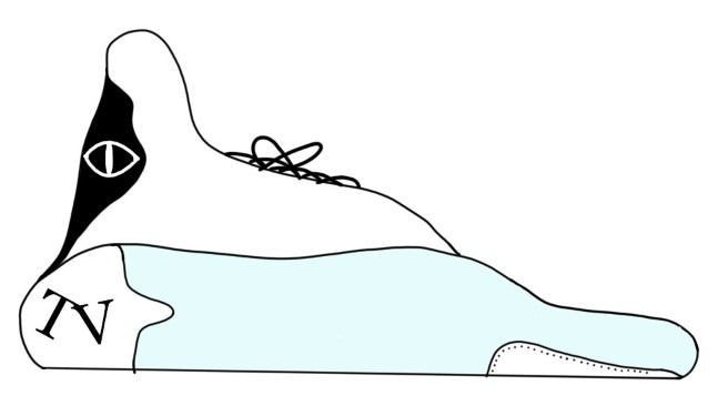 Trident-Z ice
