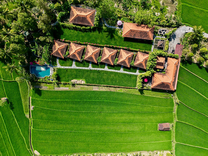 DJI_0465 2.jpeg