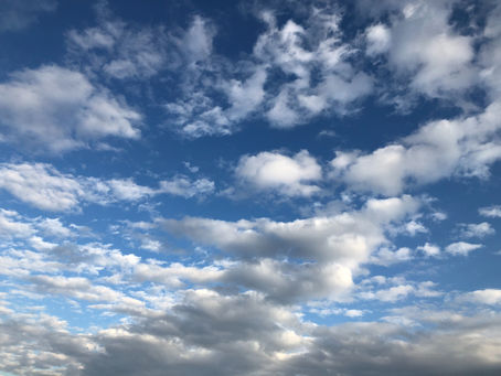 マタニティライフ