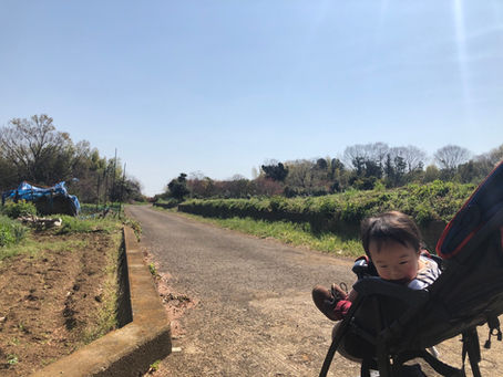 お散歩のちリハ