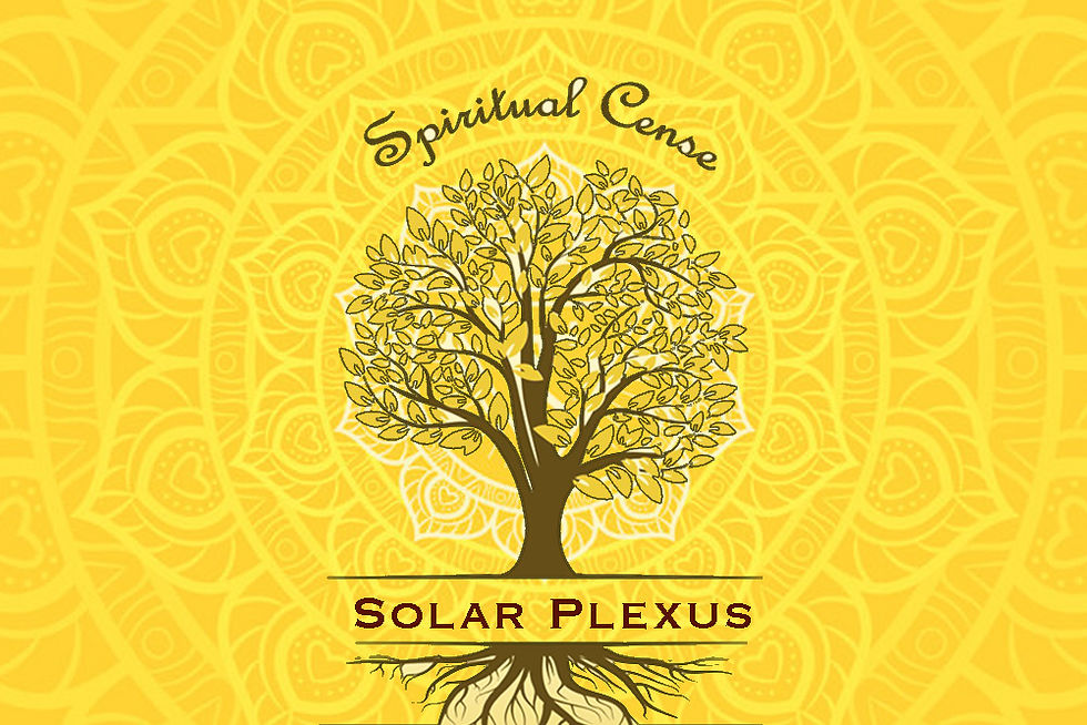 Thumbnail: The Chakra Bundle -Spiritual Cense