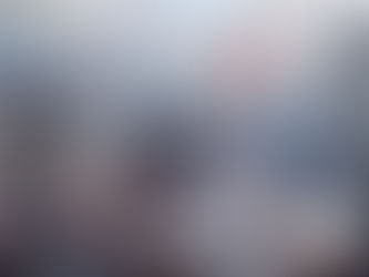 パレスチナへの旅を振り返って(その2) 辻信一