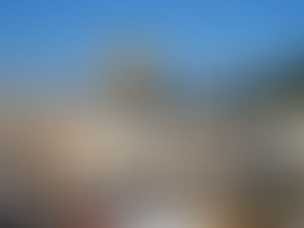 イスラエルによるパレスチナ併合計画(資料)