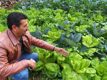 パレスチナへの旅を振り返って(その3) 辻 信一