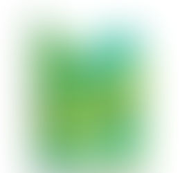 日本発の「トランジション・タウン」ムーブメント