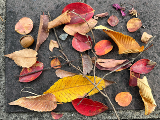 平和をあきらめない サティシュ・クマール